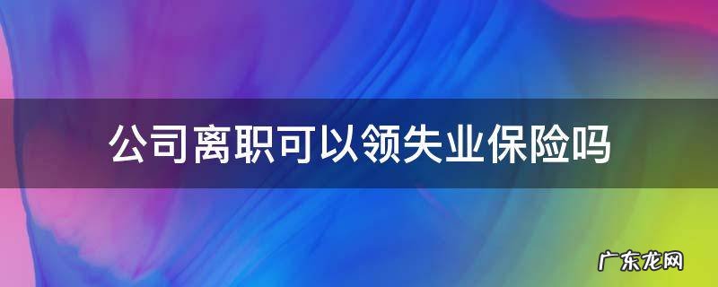 公司离职可以领失业保险吗 自己离职的能领失业保险金吗