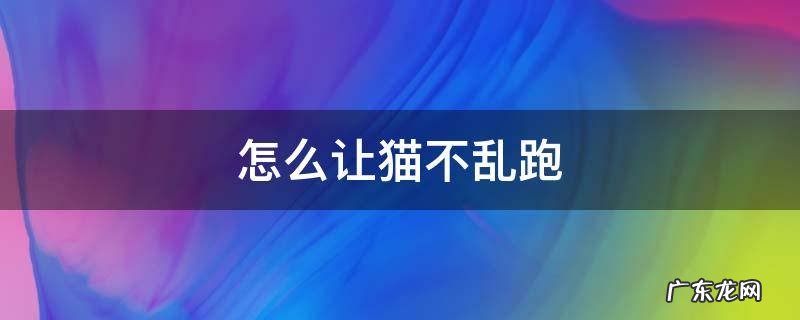 怎么让猫不乱跑 怎么让猫不乱跑到床上