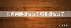 如何判断极性分子和非极性分子