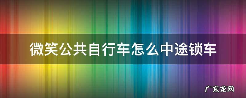 自行车怎么开锁 微笑公共自行车怎么中途锁车