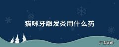 猫咪牙龈发炎用什么药 猫咪牙齿发炎用什么药