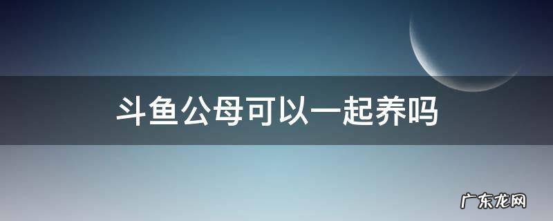 斗鱼公母可以一起养吗 半月斗鱼公母可以一起养吗