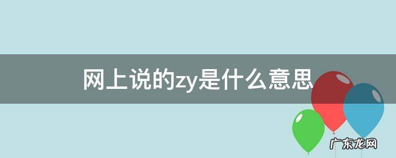 网上说的zy是什么意思 Zy是什么意思