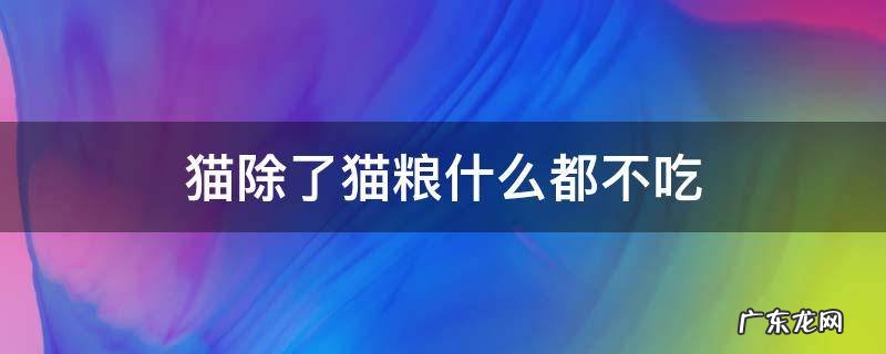 猫除了猫粮什么都不吃正常吗 猫除了猫粮什么都不吃