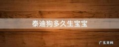 泰迪狗多久生宝宝 泰迪狗怀孕后多久生狗宝宝