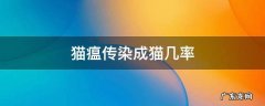 猫瘟会传染给成猫吗 猫瘟传染成猫几率
