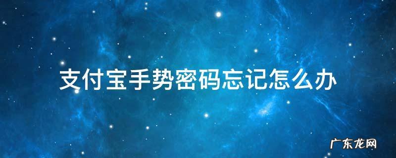 支付宝设置的手势密码忘记了怎么办 支付宝手势密码忘记怎么办