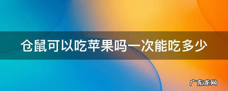 仓鼠可以吃苹果吗一次能吃多少 仓鼠可以吃苹果吗一次能吃多少个