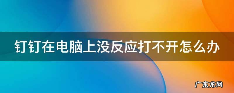 钉钉在电脑上没反应打不开怎么办呀 钉钉在电脑上没反应打不开怎么办