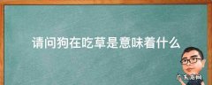 请问狗在吃草是意味着什么 狗会吃草是怎么回事