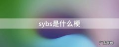 sybs是什么骂人意思 sybs是什么梗