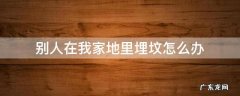 别人坟墓埋在我家地里怎么办 别人在我家地里埋坟怎么办