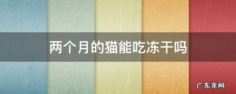 两个月的猫能吃冻干吗 2个多月的猫可以吃冻干吗