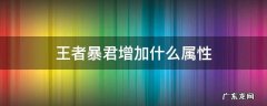 王者暴君增加什么属性 王者黑暗暴君增加什么属性
