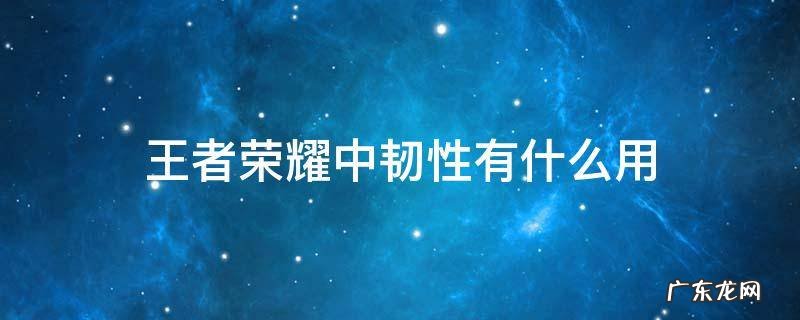 王者荣耀中韧性有什么用 王者荣耀里的韧性是什么