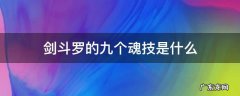 剑斗罗的九个魂技是什么 剑斗罗的九个魂技是什么?
