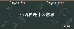 中考小语种是什么意思 小语种是什么意思
