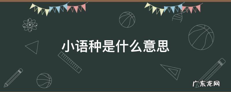 中考小语种是什么意思 小语种是什么意思