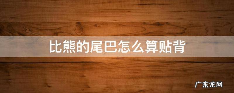 比熊的尾巴不贴背是怎么回事 比熊的尾巴怎么算贴背
