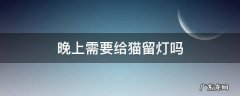 晚上睡觉要给猫留灯吗 晚上需要给猫留灯吗