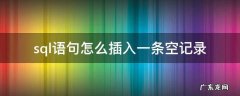 sql语句怎么插入一条空记录