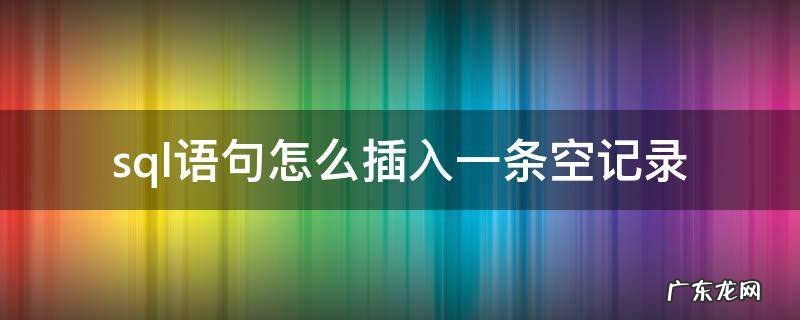 sql语句怎么插入一条空记录
