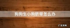 小狗生下来脐带怎么办 狗狗生小狗脐带怎么办