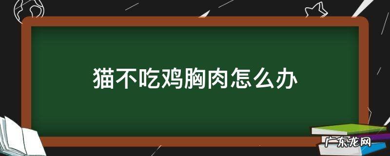 猫不吃鸡胸肉怎么回事 猫不吃鸡胸肉怎么办