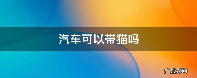 汽车可以带猫吗 火车汽车可以带猫吗