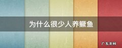 养鳜鱼的失败经历 为什么很少人养鳜鱼