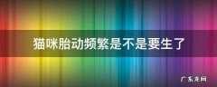 猫咪胎动频繁是要生了吗 猫咪胎动频繁是不是要生了