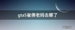 gta5崔佛老妈任务怎么过 gta5崔佛老妈去哪了