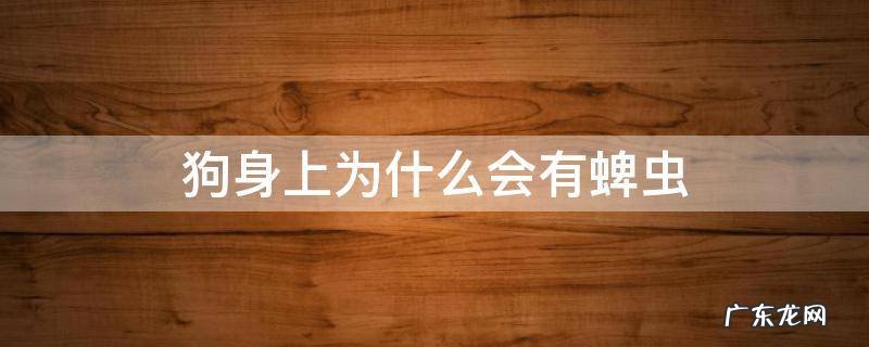 为什么狗狗身上有蜱虫 狗身上为什么会有蜱虫