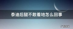 泰迪后腿不敢着地怎么回事 泰迪狗的后腿经常不着地