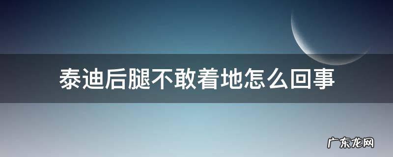 泰迪后腿不敢着地怎么回事 泰迪狗的后腿经常不着地