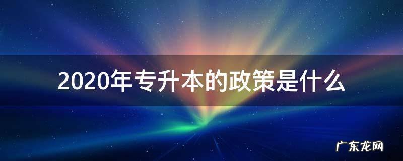 2020专升本政策解读 2020年专升本的政策是什么