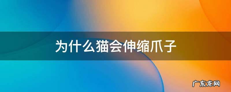 猫的爪子会伸缩吗 为什么猫会伸缩爪子
