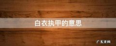 白衣执甲出自哪里 白衣执甲的意思