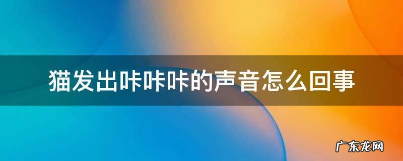 猫发出咔咔咔的声音怎么回事逗猫 猫发出咔咔咔的声音怎么回事
