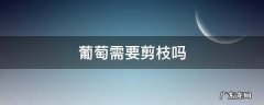 葡萄需要剪枝吗 葡萄枝需要修剪吗