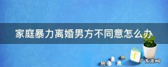 家庭暴力离婚男方不离 家庭暴力离婚男方不同意怎么办