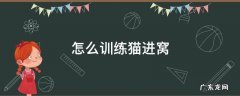 怎么训练猫进窝 怎样训练猫进窝睡觉