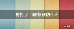 狗打4联是预防什么的 狗打了四联都预防什么