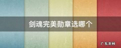 dnf剑魂完美勋章推荐 剑魂完美勋章选哪个