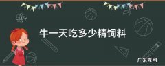 牛一天吃多少精饲料 牛一天吃多少精饲料和粗饲料