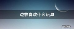 边牧喜欢什么玩具 适合边牧的玩具