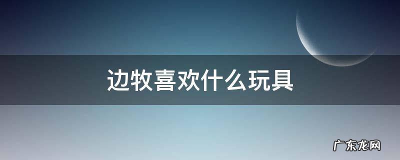边牧喜欢什么玩具 适合边牧的玩具