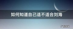 如何知道自己适不适合刘海? 如何知道自己适不适合刘海