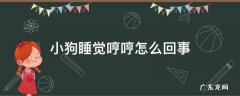 小狗睡觉哼哼怎么回事 小狗睡觉老是哼哼
