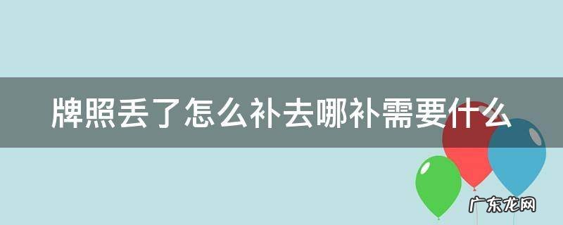 牌照丢了怎么补去哪补需要什么 牌照丢了怎么补办